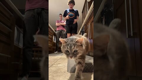 Car Got Curious 👀