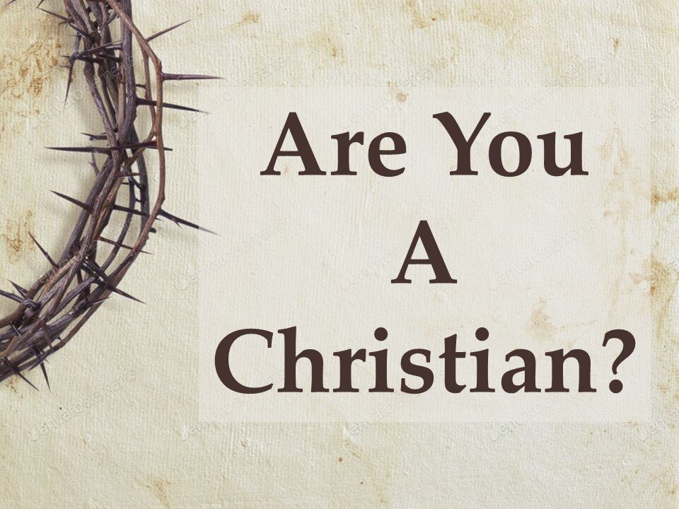ARE YOU A CHRISTIAN? DO YOU ACT LIKE A CHRISTIAN? PLEASE HELP SEND $-PAY PAL LINK BELOW