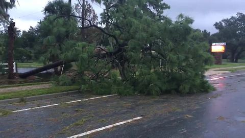 Tree down on Boyette Road near McMullen Road in Riverview.