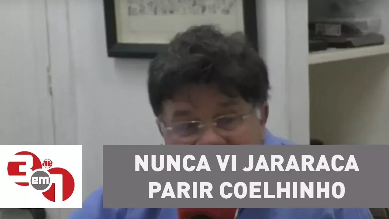 Madureira: Nunca vi jararaca parir coelhinho