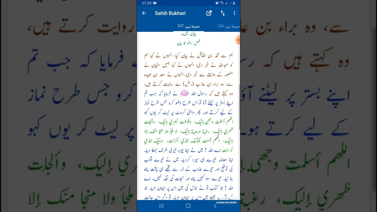 Hadees SHARIF Sahi bukhari SHARIF hadees number #246 #247 in arbic urdu and English language