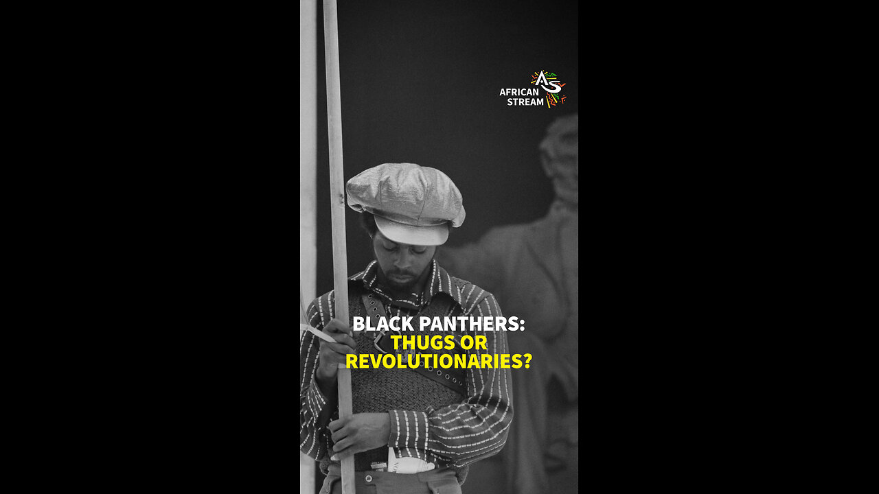 The Black Panthers: Thugs or Revolutionaries