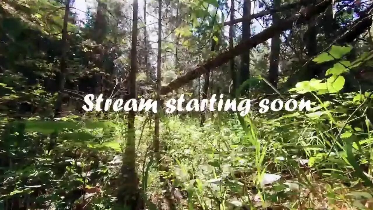 Stained Glass Stream // Valentine's Hearts~