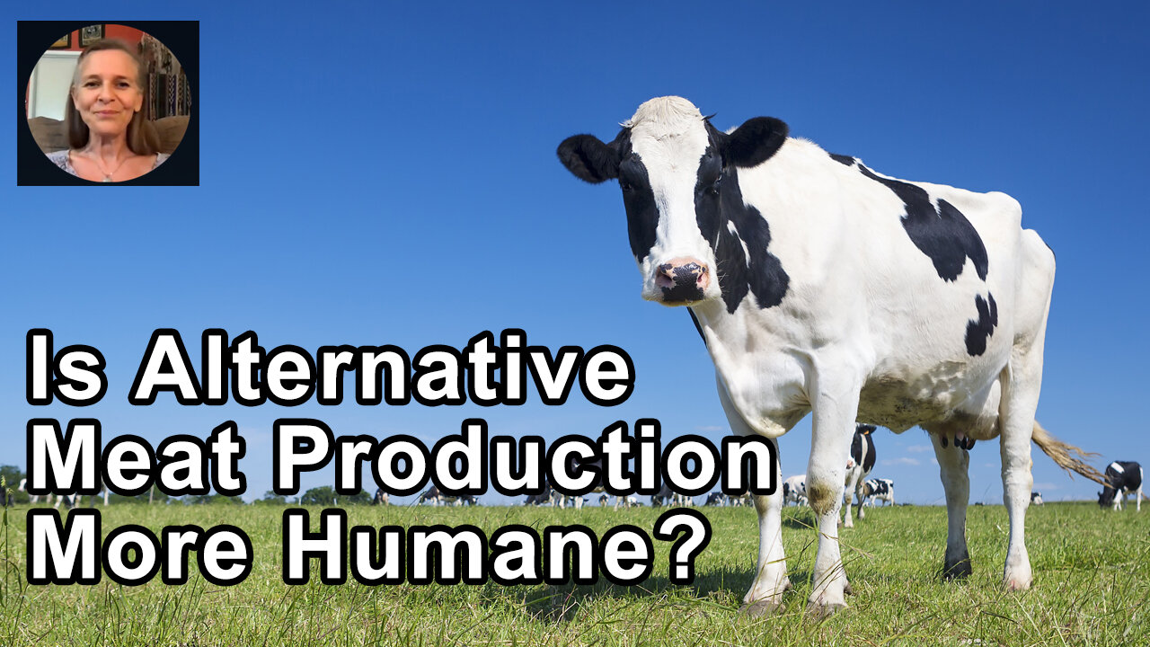 Is Alternative Meat Production More Humane? - Hope Bohanec