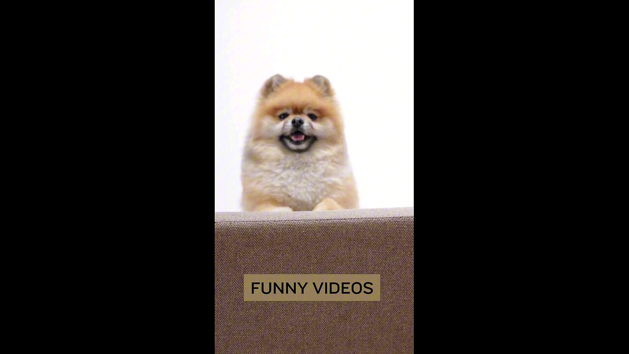 Funny Videos 😂 Funny Memes