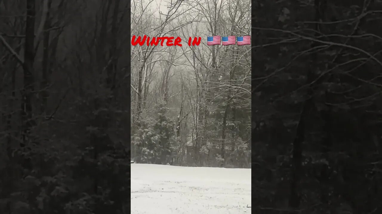 Snowing in America #prepperboss #shorts #snow #snowfall