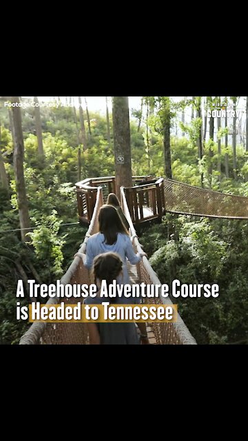 A Treehouse Adventure Course is Headed to Gatlinburg, Tennessee
