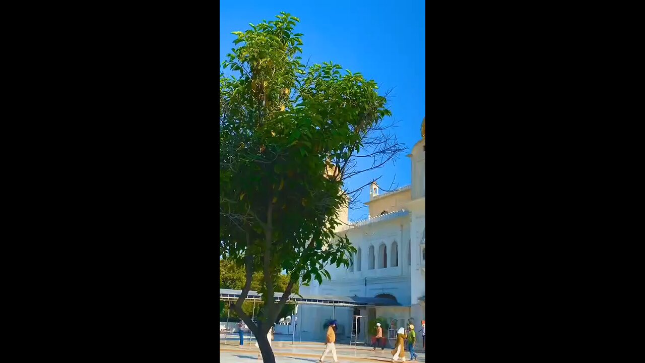 ਵਾਹਿਗੁਰੂ
