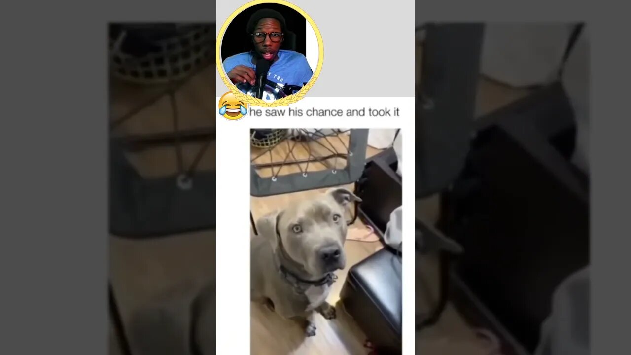 Memes From Discord Part 27