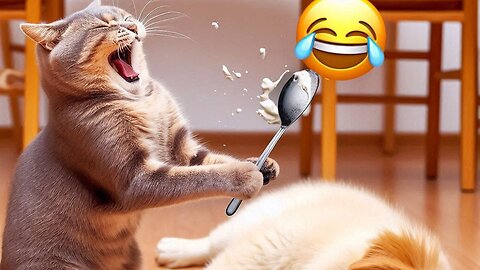 The funniest videos of cats and dogs 😂 Funny animal videos 2024 🤣