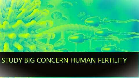 Study Raise Concern Human Fertility Massive Reduction Threat Human Race Due Covid jabs