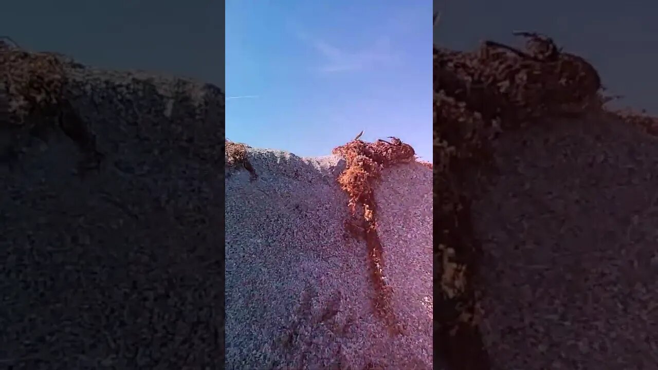 How A Star Wars Fan Sees An Abandoned Sandcastle