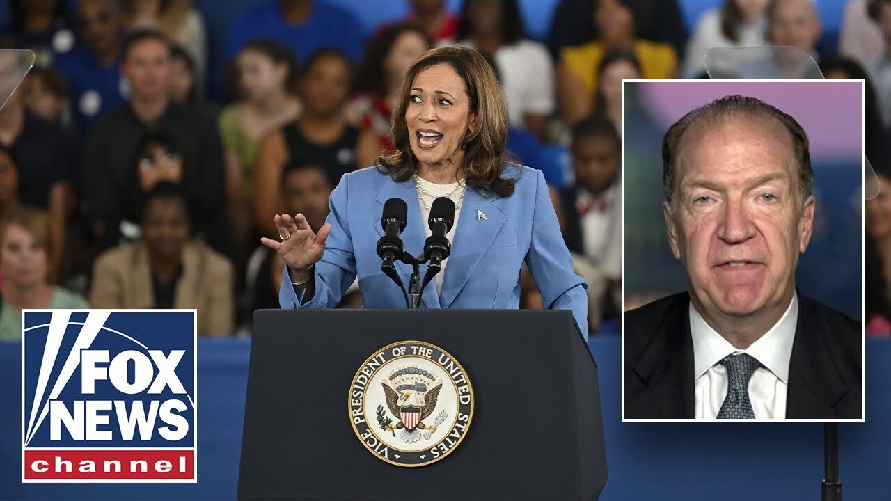 'NOT GOOD FOR THE ECONOMY': David Malpass reveals impact from Harris' policy speech