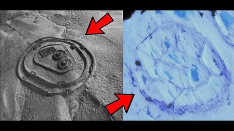 MIND-BLOWING STARTLING NEW EVIDENCE NOW EMERGES PROVING ANTARCTICA HOME TO ANCIENT CIVILIZATION