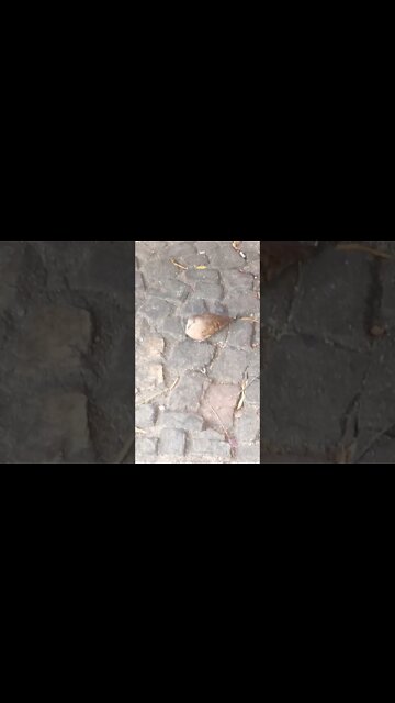 19 de outubro de 2022