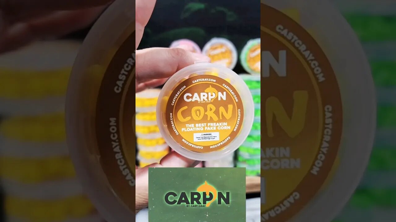Top Secret Carp Bait! #carp #fish #fishing #castcray #short #shorts #fyp