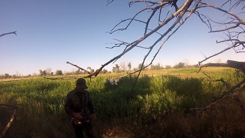 Dove Opener