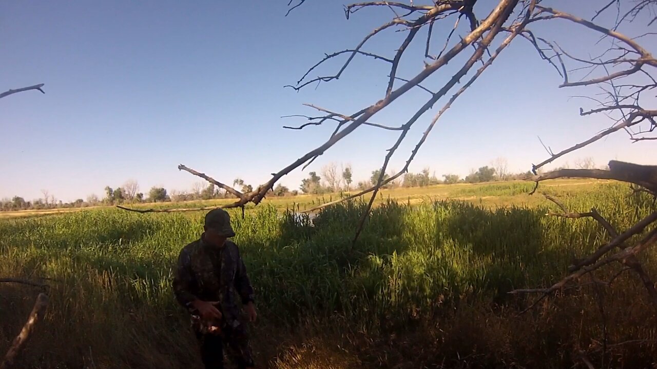 Dove Opener