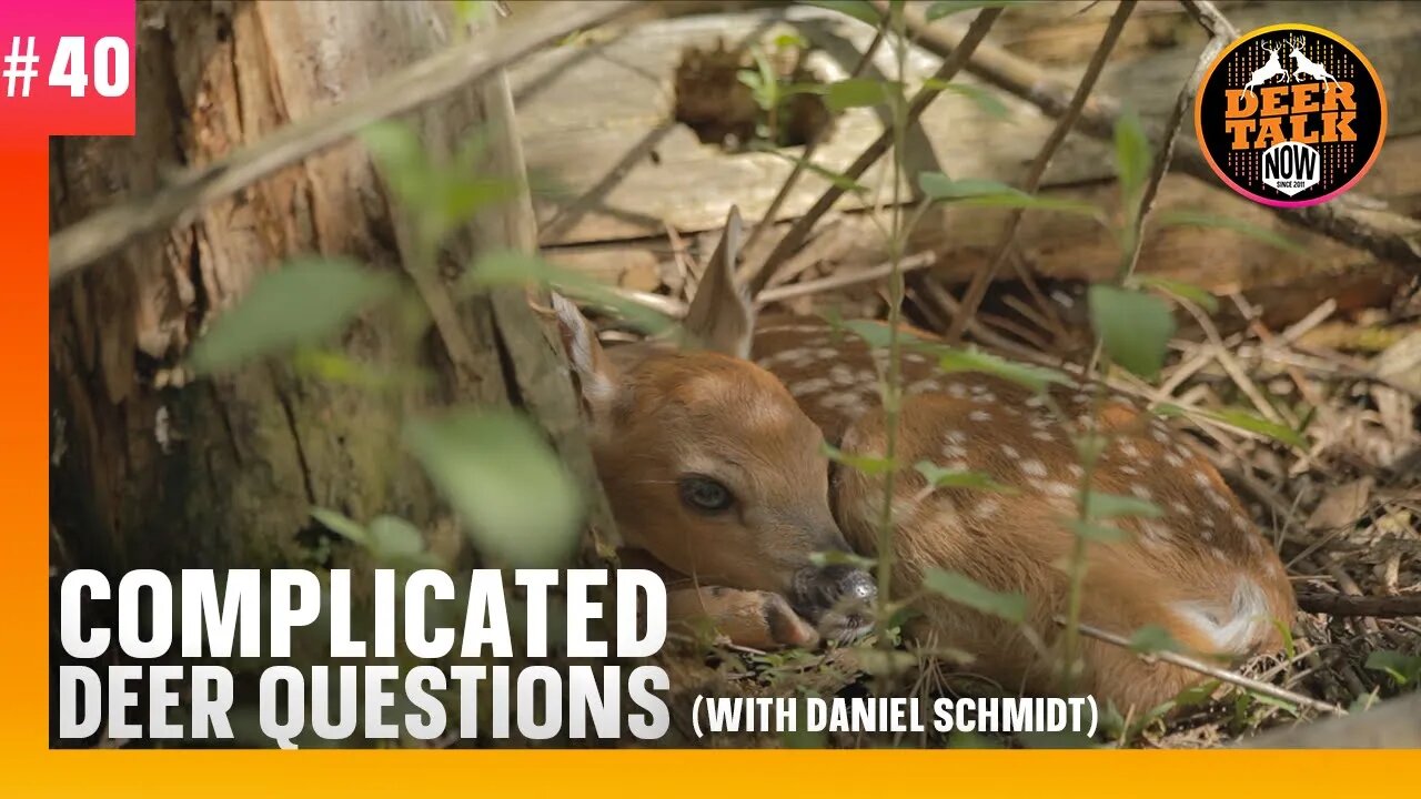 #40: COMPLICATED DEER QUESTIONS with Daniel Schmidt | Deer Talk Now Podcast