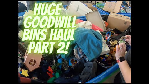 HUGE GOODWILL BINS/OUTLET HAUL!! PART 2