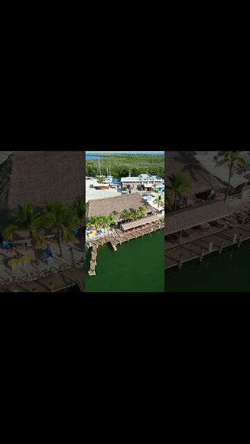 Just a Monday in Paradise 🌴 #jimmybuffett #keylargo