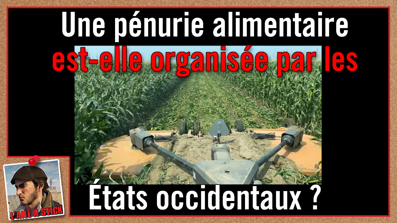 2021/091 Une pénurie alimentaire est organisée par les états occidentaux - Préparez-vous !