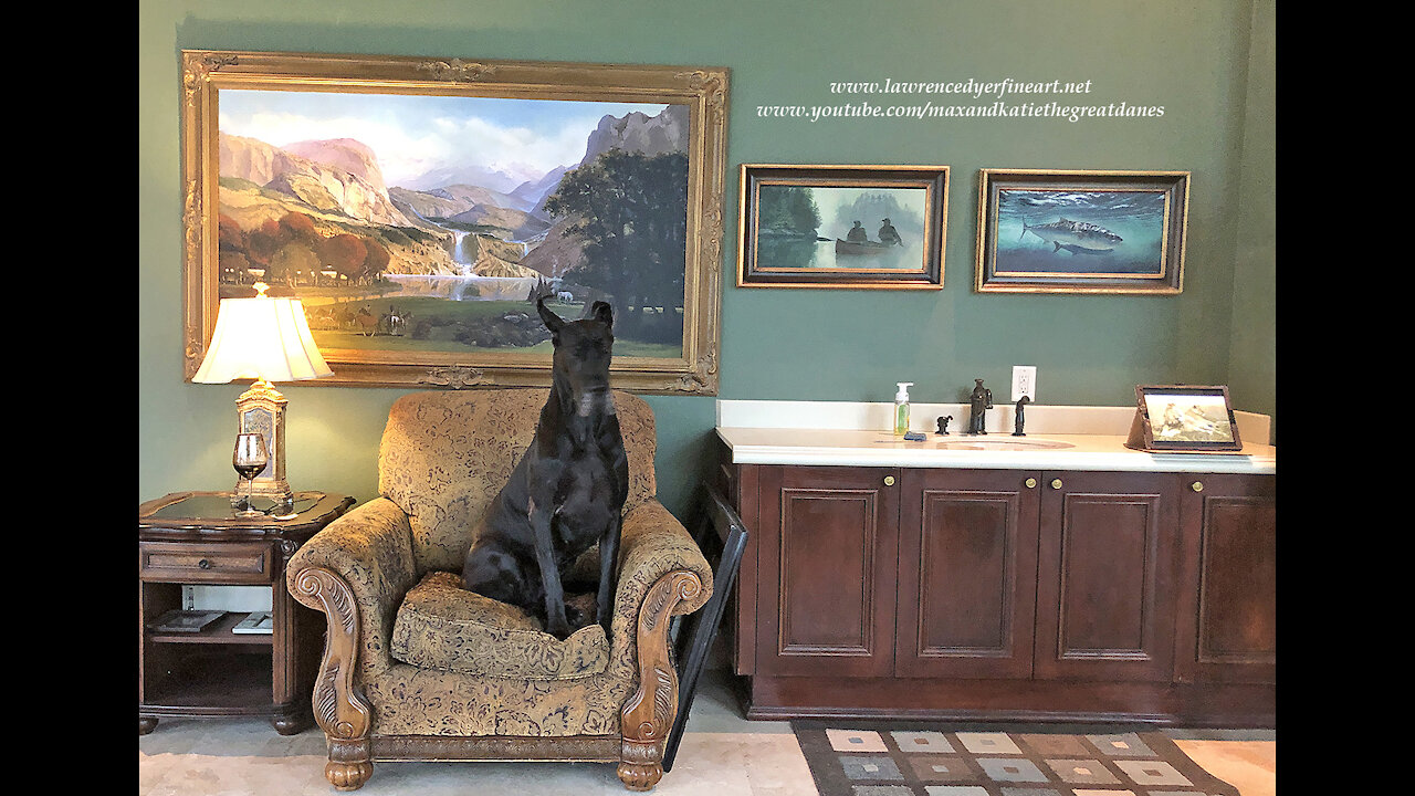 Black Great Dane Sits Like A Statue In An Art Studio