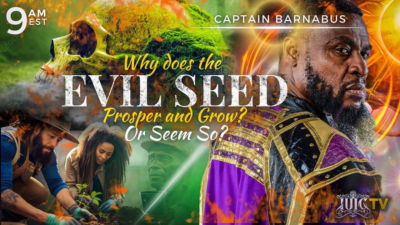 WHY DOES THE EVIL SEED PROSPER AND GROW? OR SEEM SO?