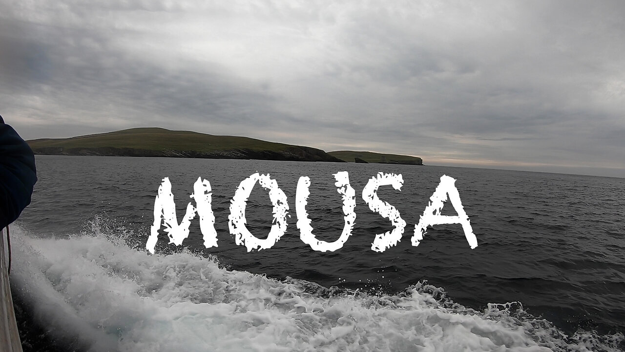 MOUSA