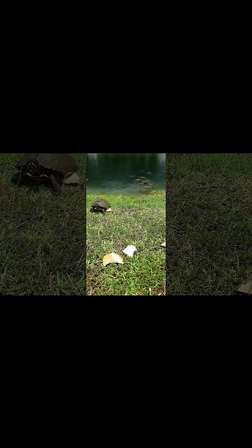 There's enough for everyone #shorts