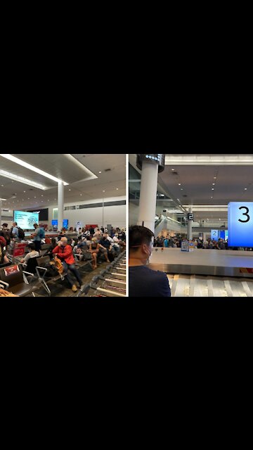 Travellers Say Pearson Is ‘Chaotic’ AF After Airport Warns Public About Delays (PHOTOS)