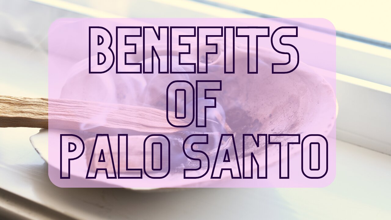 Experience the Ancient Healing Power of Palo Santo