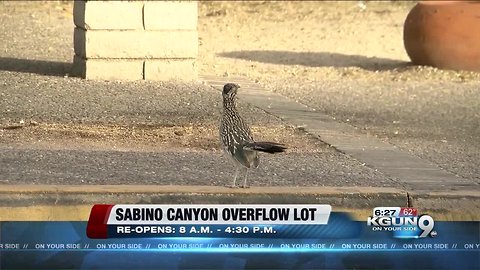 Overflow parking lot reopens at Sabino Canyon