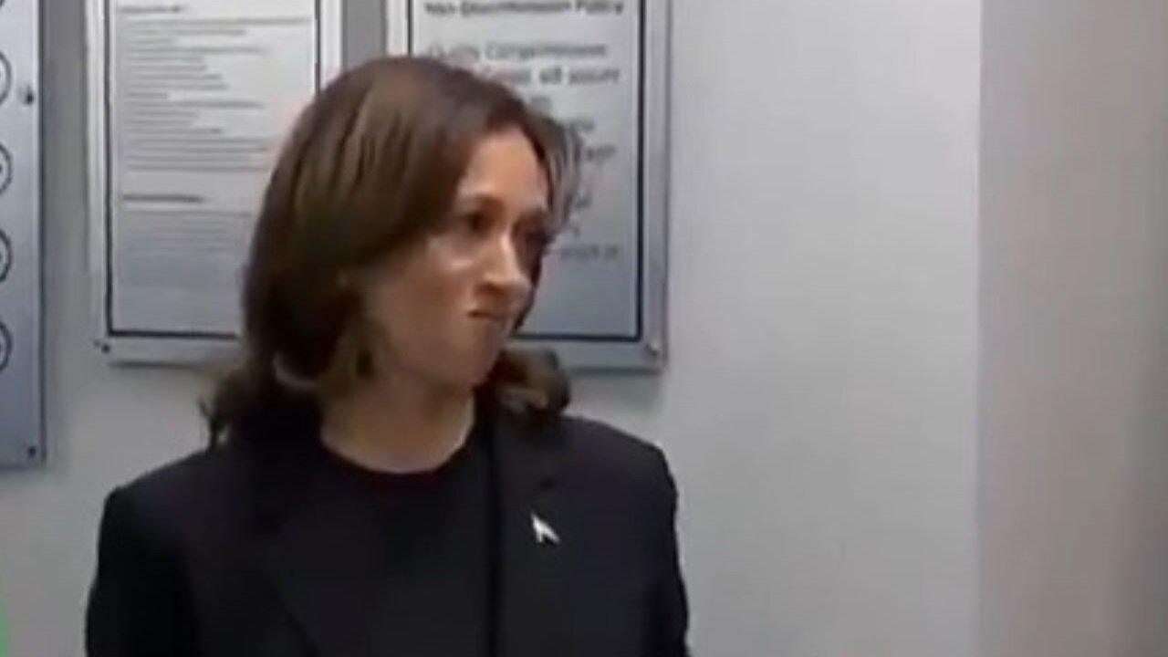 LOOK On Kamala's Face As Helene Victim Explains How BAD The Fed's Response Has Been Is PRICELESS