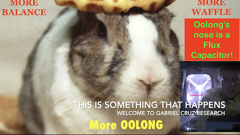 Trust Oolong | Oolong Reeves The Rabbit Is Saving The World | Believe in Oolong