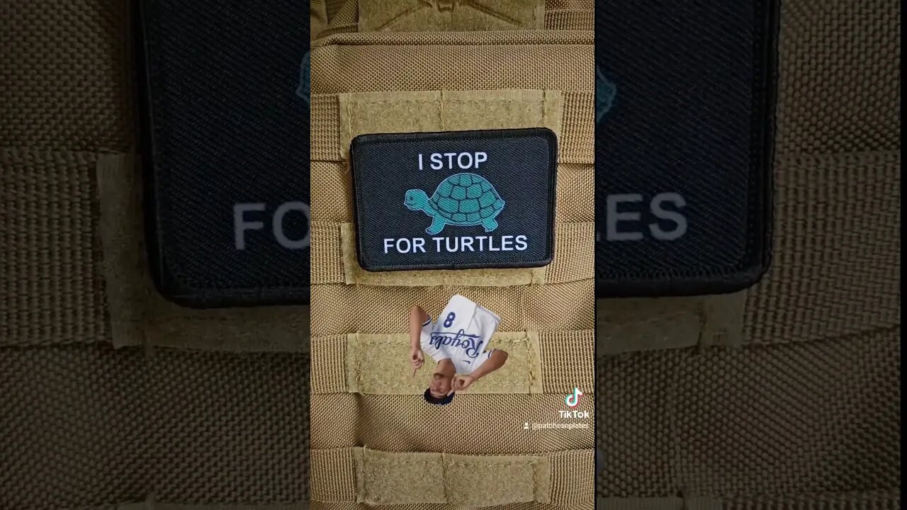 stop for turtles #shorts