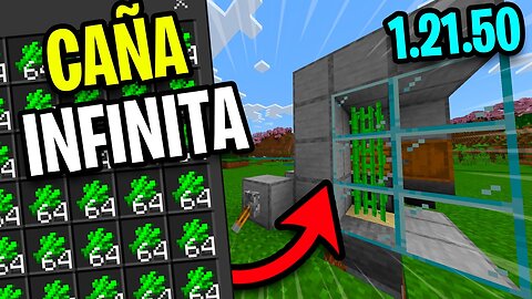 GRANJA de CAÑA BARATA para Minecraft BEDROCK 1.21.50 (PE/XBOX/W10/Swtich/PS4)