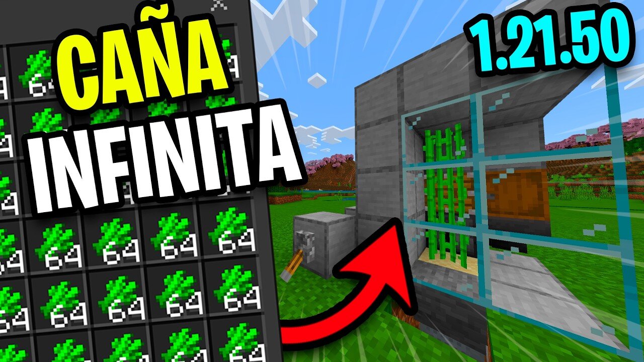 GRANJA de CAÑA BARATA para Minecraft BEDROCK 1.21.50 (PE/XBOX/W10/Swtich/PS4)