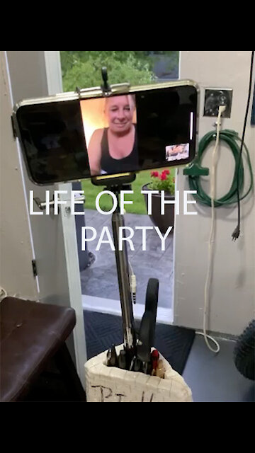 Virtual Party Guest at Party