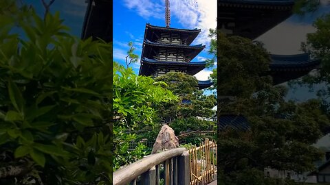 Japanese Garden ASMR #summerloadingwithyoutube #shortsexcellence #asmr