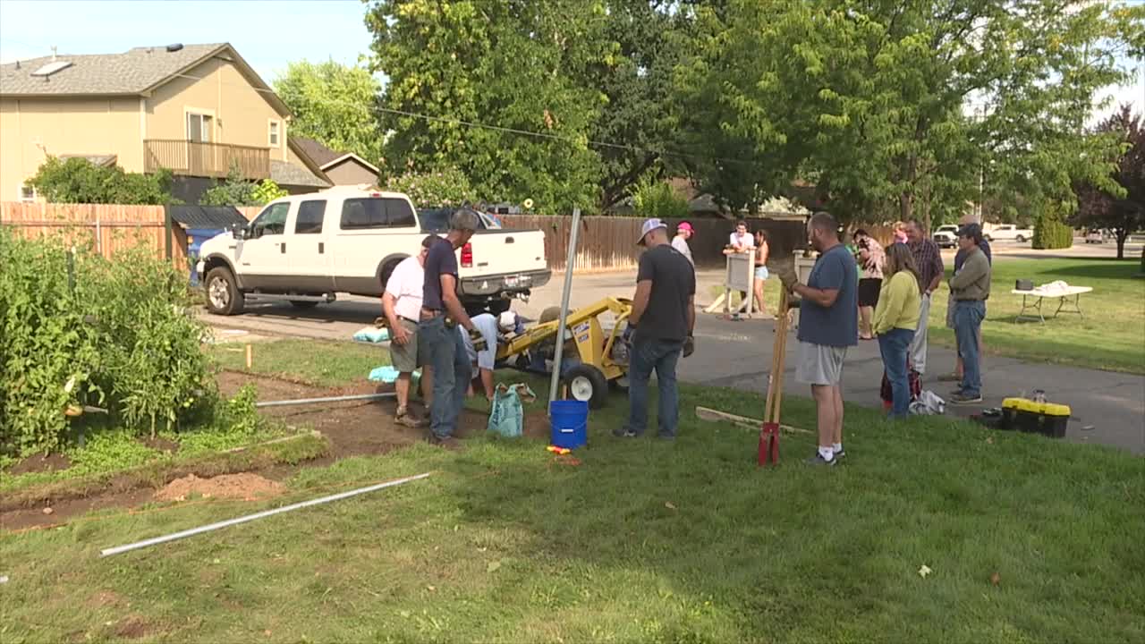 Community rallies to help to make refugee garden more secure after vandalism