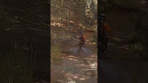 This gives new meaning to exhaust spooge!