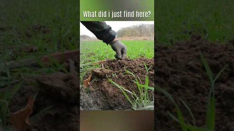 Between The Iron | Metaldetecting | treasurehunting | shorts