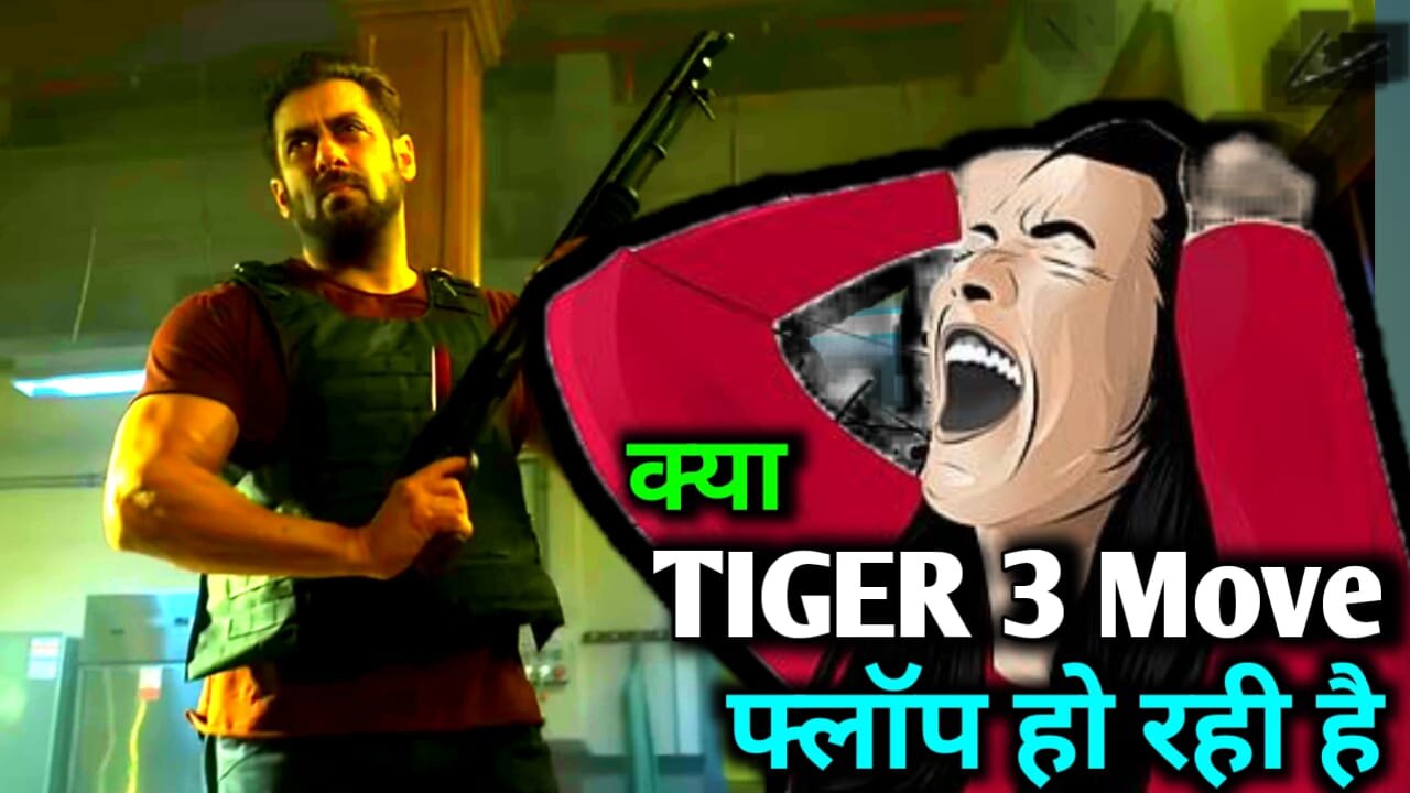 Tiger 3 Movie | Collection