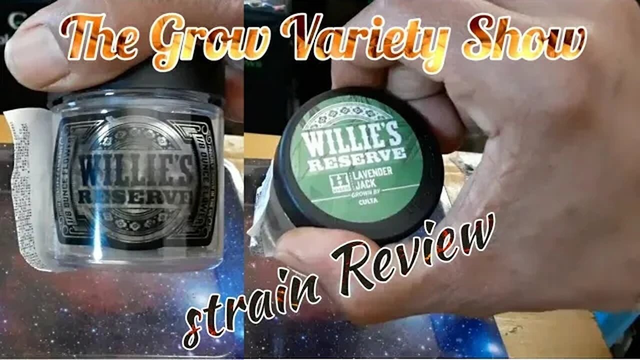 Willie's Reserve Did it, Again !?!Lavender Jack strain Review 18% THC (The Grow Variety Show ep.189)