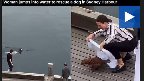 Woman jumps into water to rescue a dog in Sydney Harbour