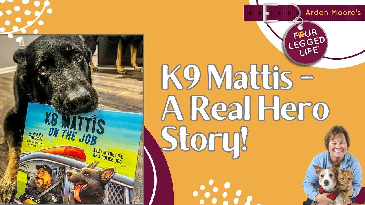 K9 Mattis - A Hero's Story!