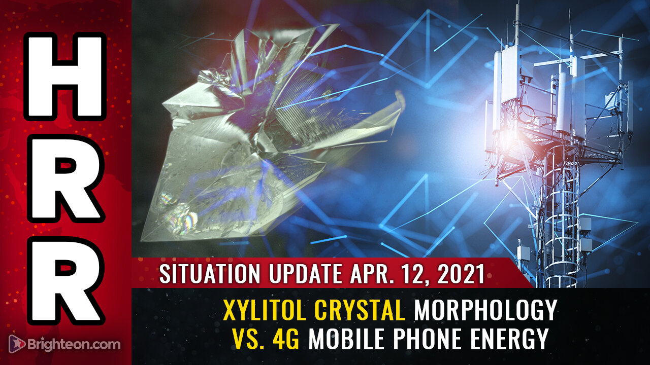 Situation Update - 04/12/2021 - Xylitol crystal morphology vs. 4G mobile phone energy