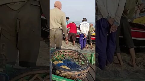 #fishing #fisherman #shortvideo #fishingequipment #fishermen
