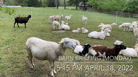 Barn Briefing 4-18-2022